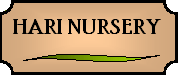 Hari Nursery Home Page